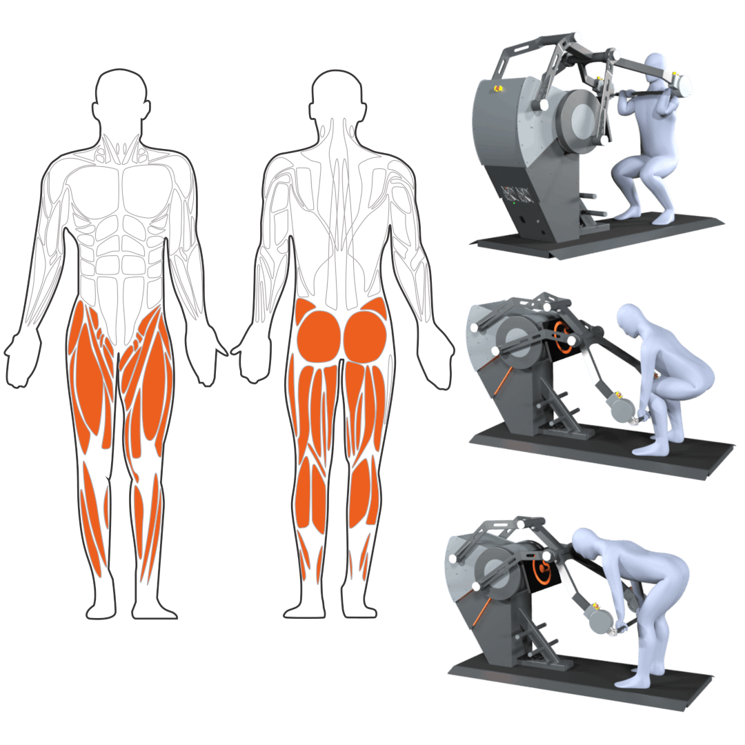 Illustration einer Vorder- und Rückansicht des menschlichen Körpers mit hervorgehobenen Unterleib- und Beinmuskeln in Rot, sowie Nutzern, die auf dem Sparkfield-Ganzkörper-Krafttrainingsgerät Übungen für die Beine, Hüften und Gesäßmuskulatur ausführen.