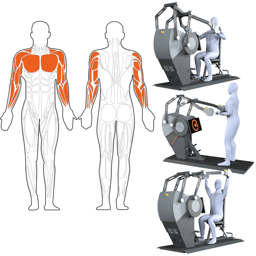 Illustration einer Vorder- und Rückansicht des menschlichen Körpers mit hervorgehobenen Oberkörpermuskelgruppen in Rot, sowie Darstellung von Nutzern, die Übungen für Brust, Schultern und Arme auf dem Sparkfield-Core durchführen.